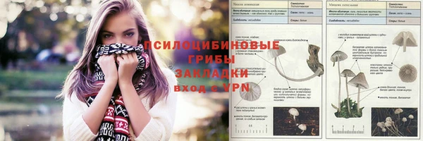 jwh Краснослободск