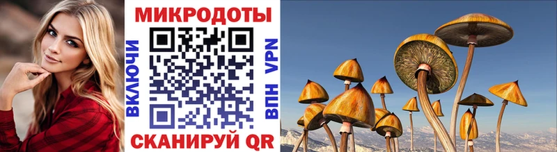 Купить  Вольск  Псилоцибиновые грибы Magic Shrooms 